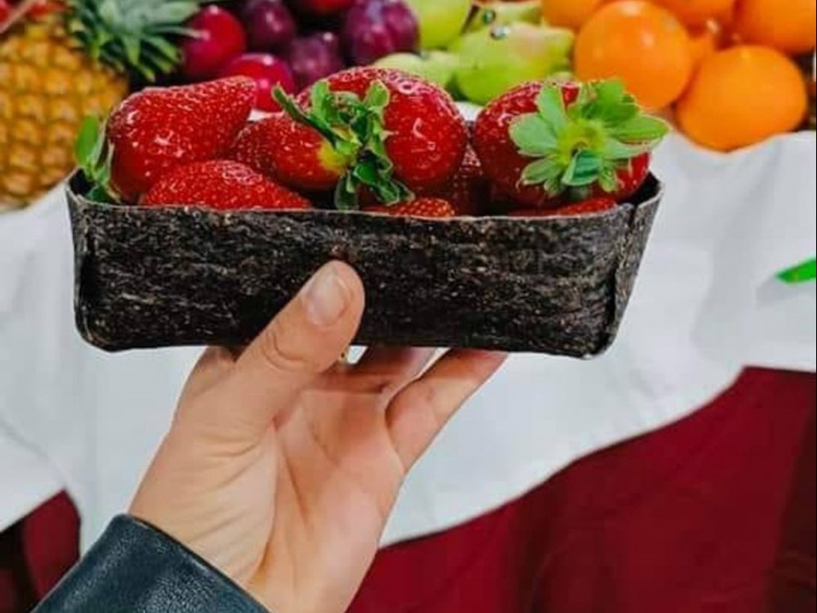 El Grupo Operativo Algaecopack ha presentado el primer prototipo de envase para frutas y verduras elaborado con algas. Esta iniciativa surge con el objetivo de desarrollar envases más sostenibles y respetuosos con el medio ambiente, así como para reducir la cantidad de plásticos utilizados en la industria alimentaria.