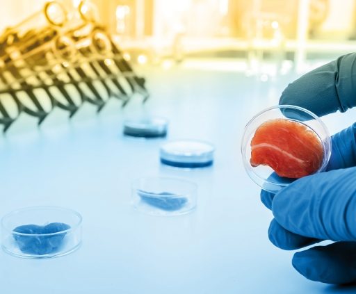 GEA revoluciona la industria de alimentos con su nuevo Centro de Excelencia en Proteínas Alternativas
